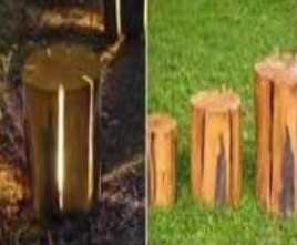 2877